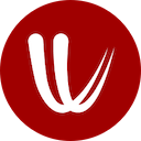 Windy logo